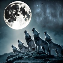 Wolf Howling Moon Fantasy Art Blank Greeting Card