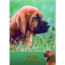Bloodhound Birthday Card