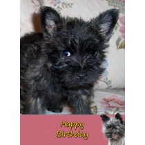 Cairn Terrier Birthday Card