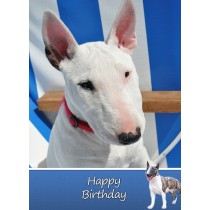 English Bull Terrier Birthday Card