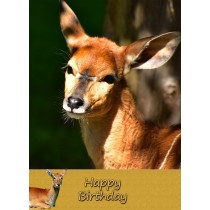 Antelope Birthday Card