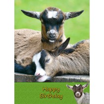 Goat Birthday Card