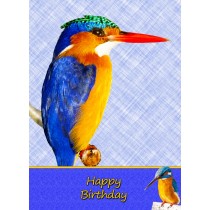 Kingfisher Birthday Card