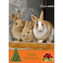 Rabbit christmas card