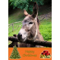 Donkey christmas card