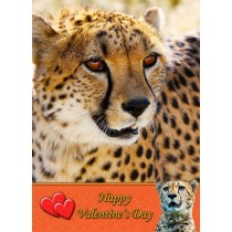Cheetah Valentine's Day Card