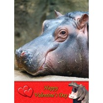 Hippo Valentine's Day Card