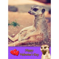 Meerkat Valentine's Day Card