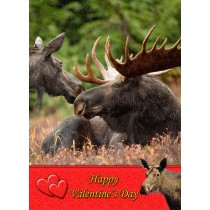 Moose Valentine's Day Card