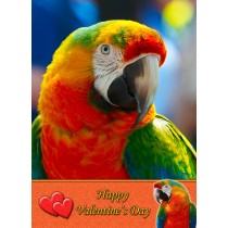 Parrot Valentine's Day Card