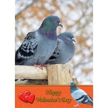 Pigeon Valentine's Day Card