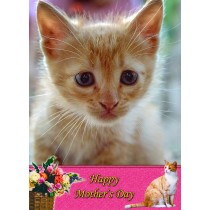 Cat Mother's Day Card