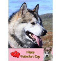 Alaskan Malamute Valentine's Day Card