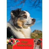 Australian Shepherd Mother's Day Card
