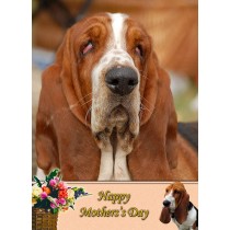Basset Hound Mother's Day Card