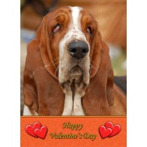 Basset Hound Valentine's Day Card