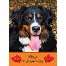 Bernese Mountain Dog Valentine's Day Card