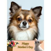 Chihuahua Mother's Day Card