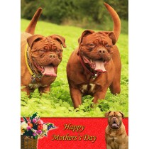 Dogue de Bordeaux Mother's Day Card