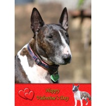 English Bull Terrier Valentine's Day Card