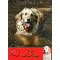 Golden Retriever Valentine's Day Card