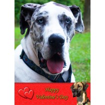 Great Dane Valentine's Day Card
