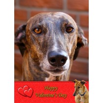 Greyhound Valentine's Day Card