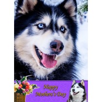 Husky Mother's Day Card