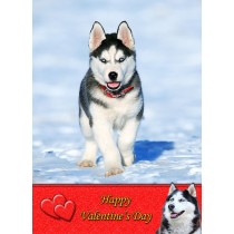Husky Valentine's Day Card