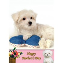 Maltese Mother's Day Card