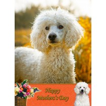 Poodle Mother's Day Card