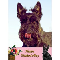 Scottish Terrier Mother's Day Card