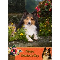 Shetland Sheepdog Mother's Day Card