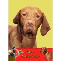Vizsla Mother's Day Card
