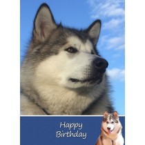 Alaskan Malamute Dog Birthday Card