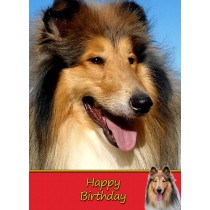 Rough Collie Birthday Card