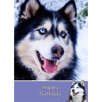 Husky Dog Birthday Card