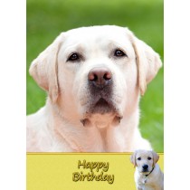 Golden Labrador Birthday Card