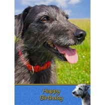 Lurcher Dog Birthday Card