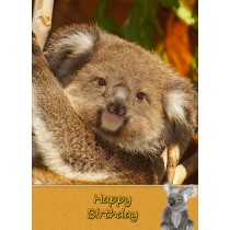 Koala Bear Birthday Card