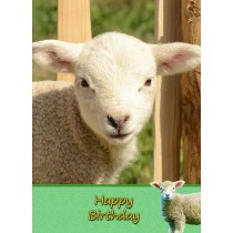 Sheep Birthday Card