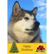 Alaskan Malamute Christmas Card
