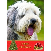Bearded Collie Christmas Card