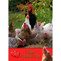 Chicken Valentine's Day Card