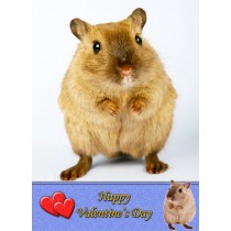 Gerbil Valentine's Day Card