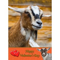 Goat Valentine's Day Card