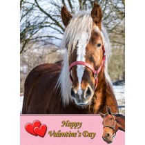 Horse Valentine's Day Card