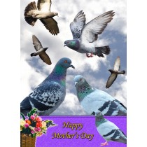 Pigeon Mother's Day Card