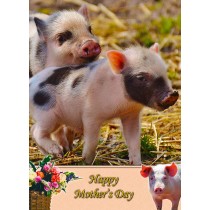 Pig Mother's Day Card