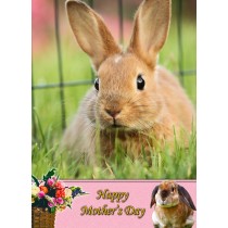 Rabbit Mother's Day Card